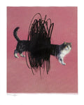 One or Two Cats