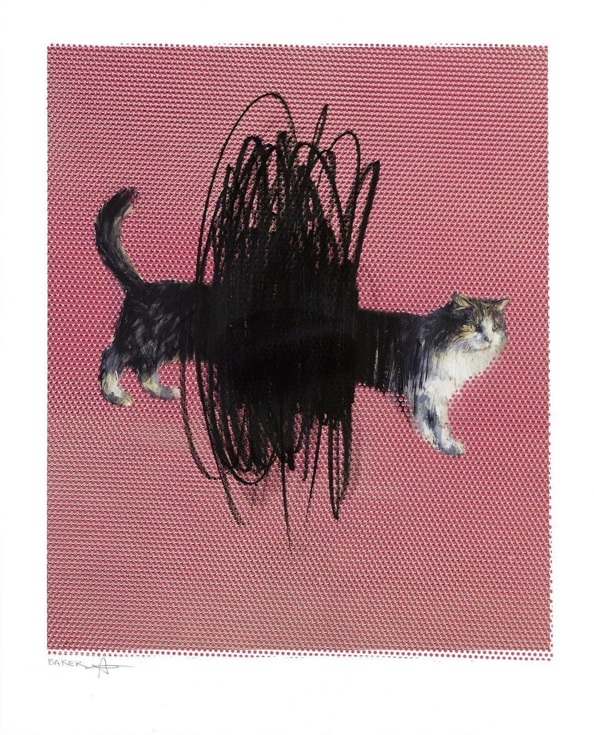 One or Two Cats