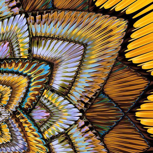 Collider/Gilded Mandala