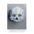 Skull Study