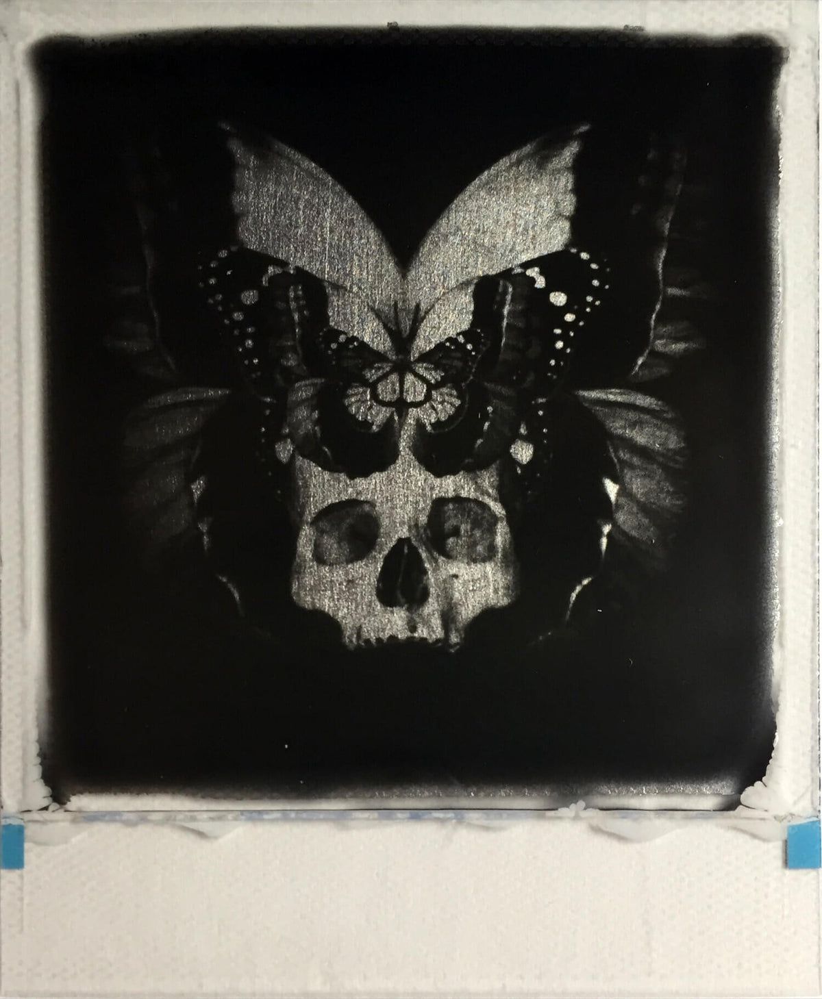 Metamorphosis