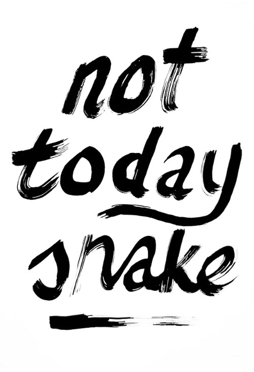 Not Today Snake