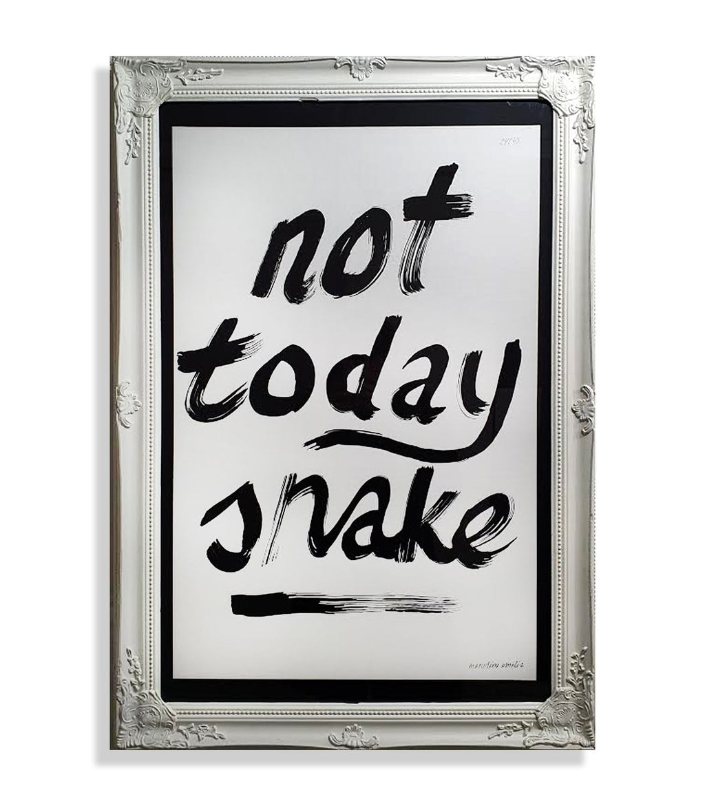 Not Today Snake