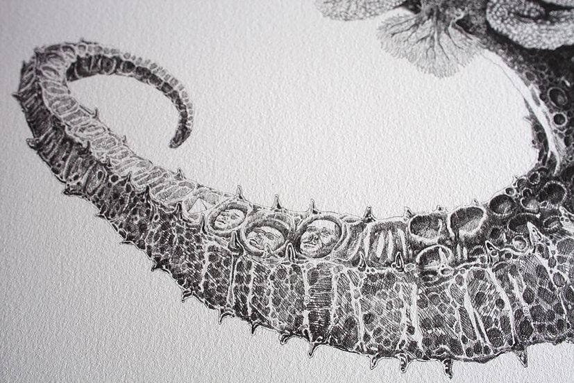 Seahorse