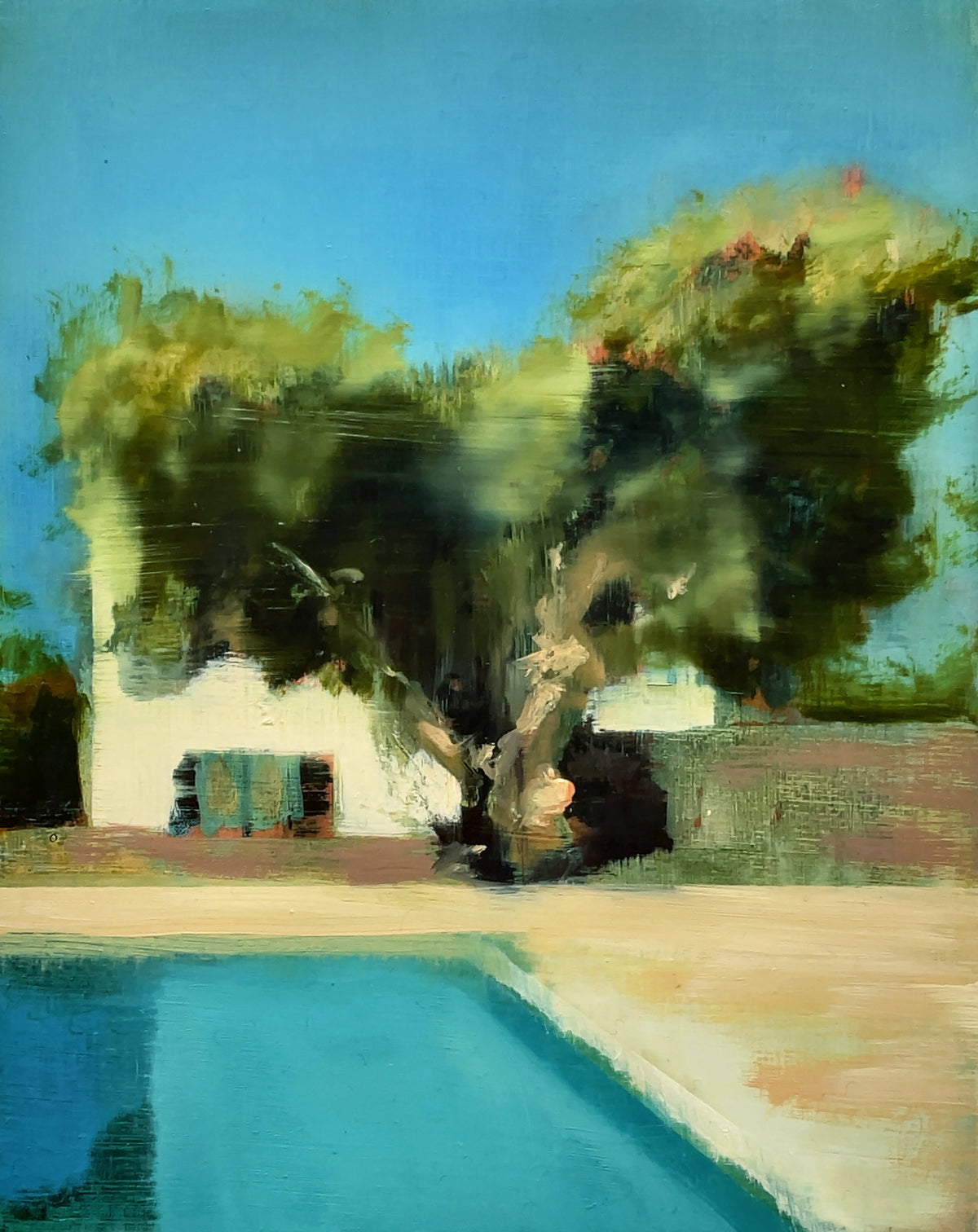 The Olive Tree