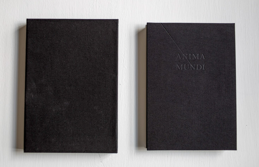 Anima Mundi