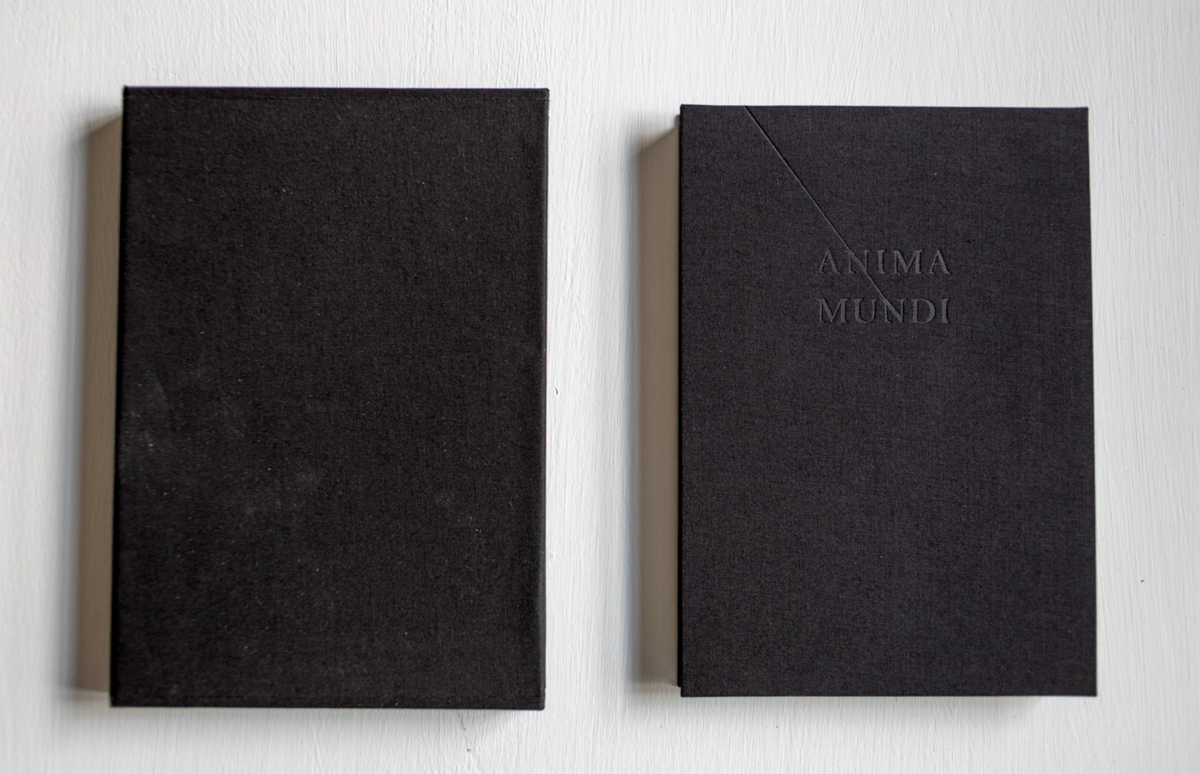 Anima Mundi