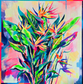 Birds of Paradise