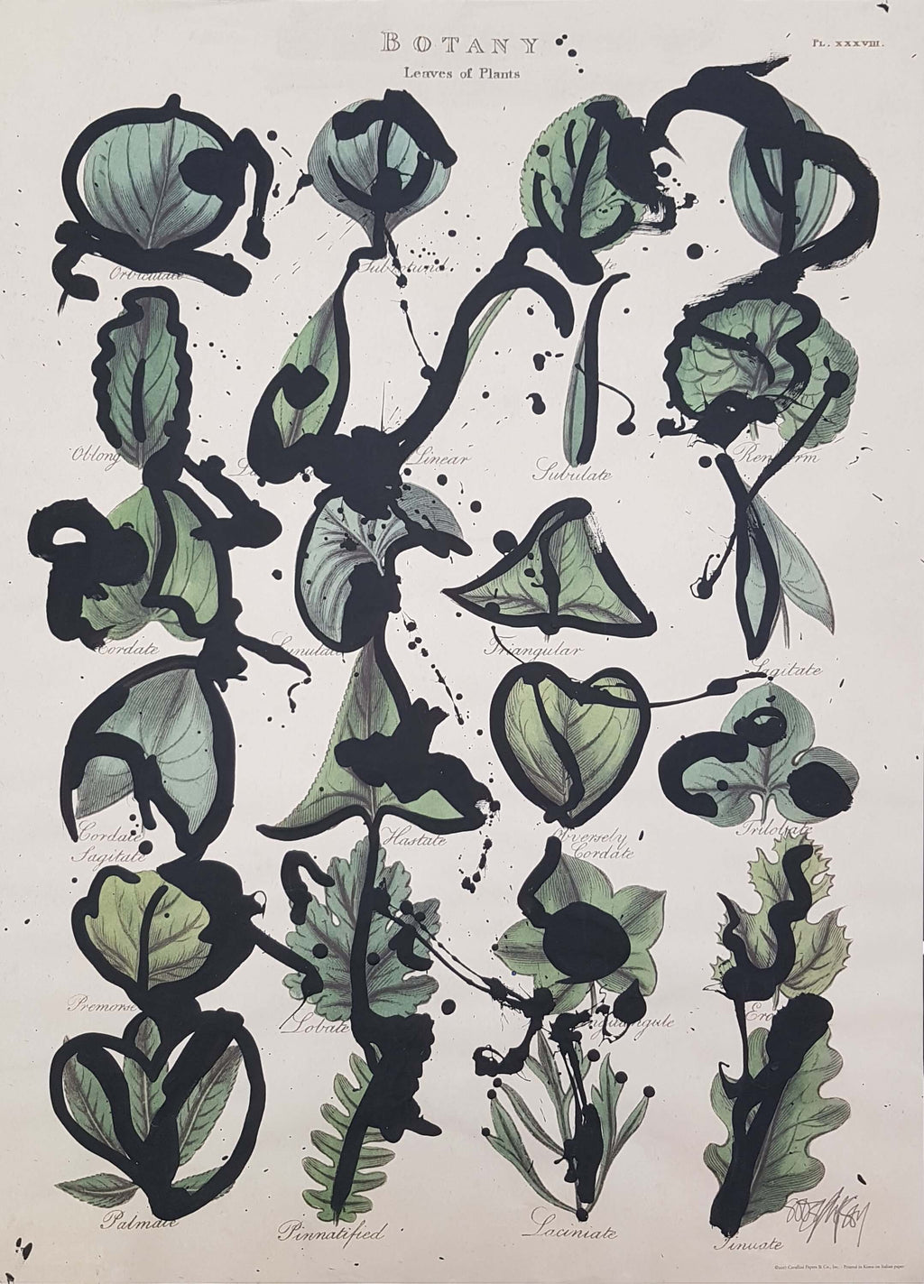 Botany
