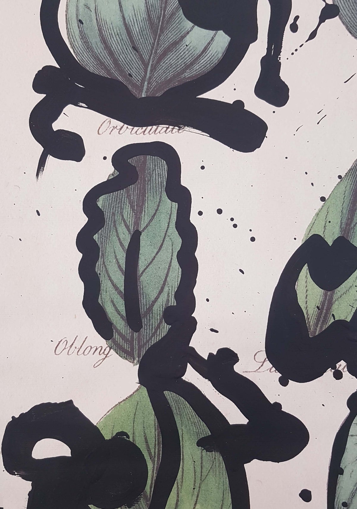 Botany
