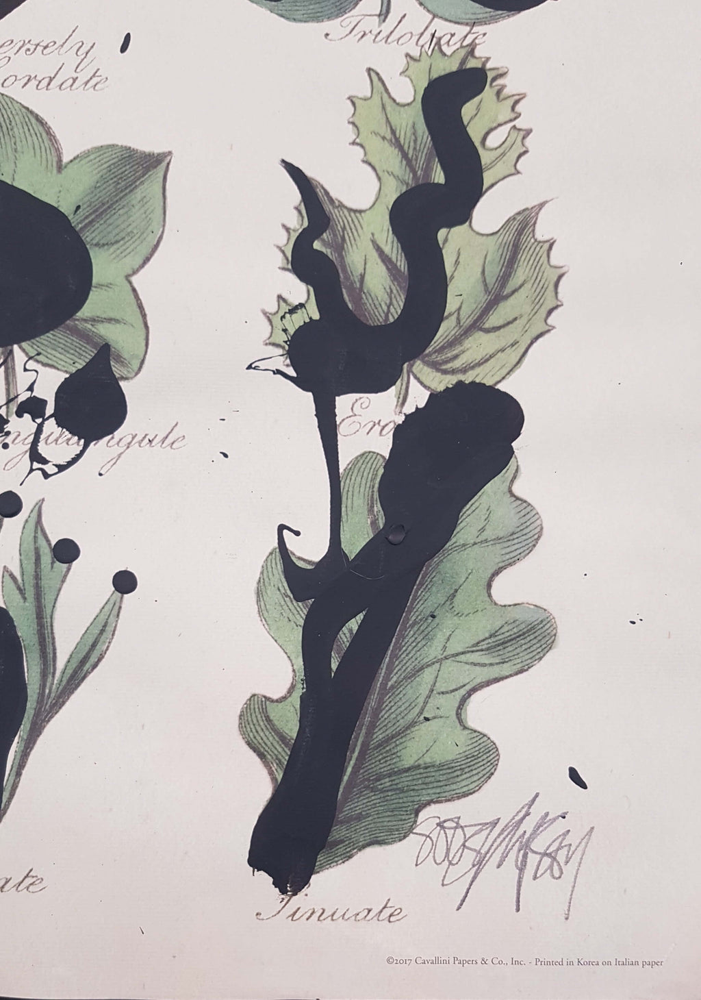 Botany