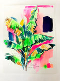 Banana Trees