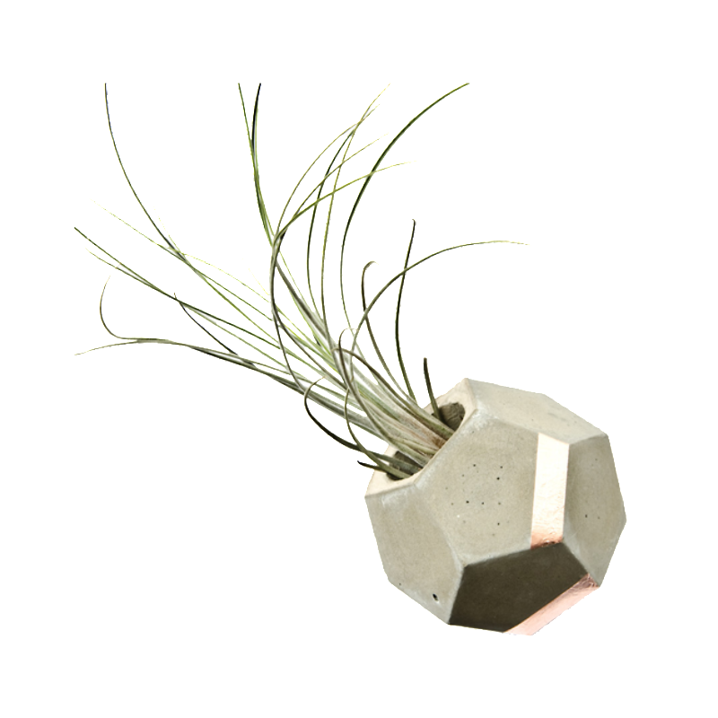 Dodecahedron Concrete and Copper Planter