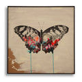 Butterfly Graffiti Original