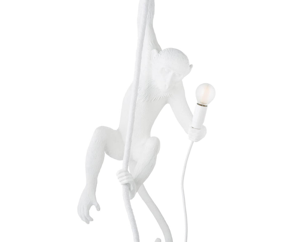 Monkey Lamp - Ceiling (Indoor)
